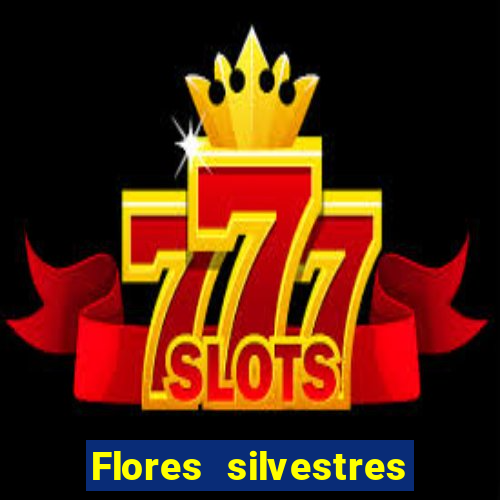 Flores silvestres brasileiras 25